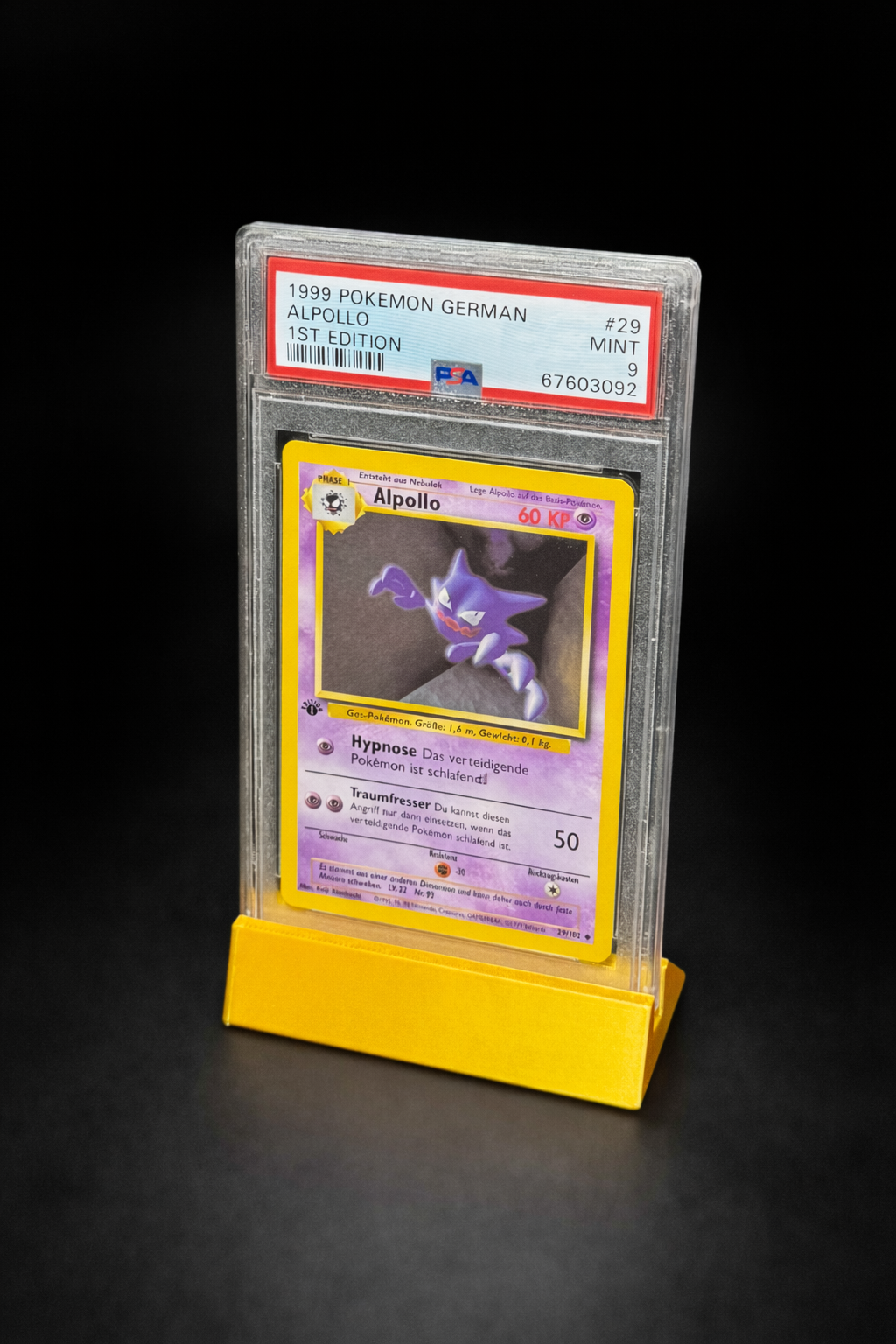 PSA Kartenhalter | Cardholder | Ständer | TCG Holder